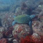 生物情報と常連さんの釣り