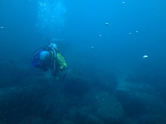 うねっているけど水中はまあまあ見えている Msoダイビングマガジン