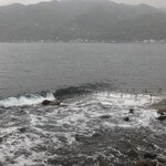 少しうねりが入っている