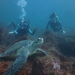 今日も海況に恵まれてます。