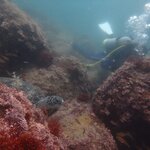 べた凪が続き、生物も大当たり!