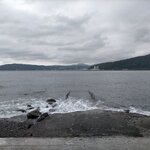 やや波はあるけど、入れます