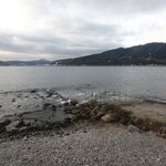 東風ですが、問題なし!