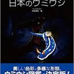 新しいウミウシ図鑑が出たのでー（いまさら）