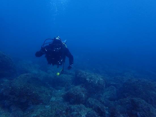 セルフダイビング練習のススメ - Msoダイビングマガジン