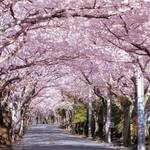 その時期その時期を楽しんでいくという事