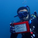 次から次へと色々な魚たちにお祝いされて200本★