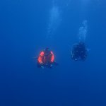 冬場は1本1本を大事に大事に潜れることが多くて楽しい