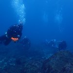 青い海が広がっていました。でも。