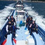 まるで壁!大げさではなく500~1000匹クラスのイナダの群れに遭遇したのに。