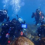 潜り初めラッシュ開始☆