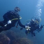 待ちきれない方たちが☆シーズンオフのウミウシガイド2日連続☆
