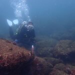 透明度が少し良くなりました☆季節来遊魚のシーズンです☆