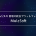 MuleSoft導入支援 | 株式会社テラスカイ