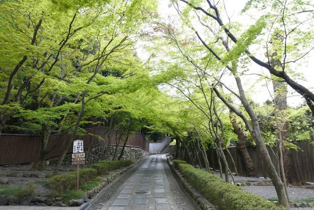 【京都で女子旅】“禅”や“パワースポット巡り”など今話題のパワーチャージスポット3選 