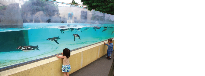 たくさんの動物たちと触れ合える「秋田市大森山動物園」