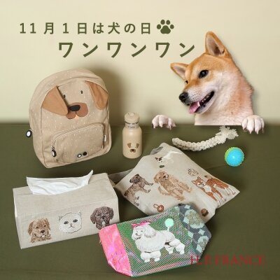 11月1日は犬の日！ワン ワン ワン