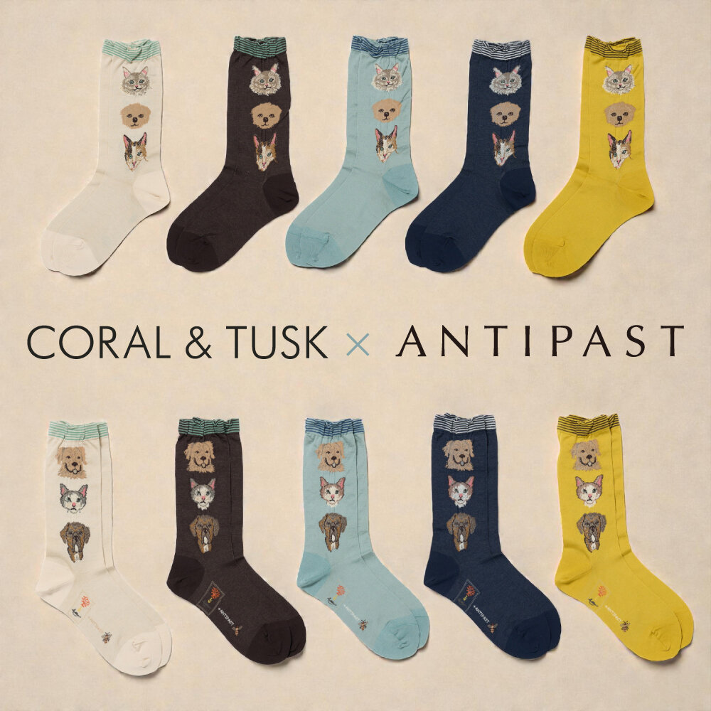 【12/5発売】Coral&Tusk × ANTIPAST｜待望の第2弾ソックスが登場