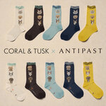 【12/5発売】Coral&Tusk × ANTIPAST｜待望の第2弾ソックスが登場