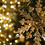 心躍るホリデーカラー ― レッド・ボルドー・グリーンで纏う、冬の魔法 ―