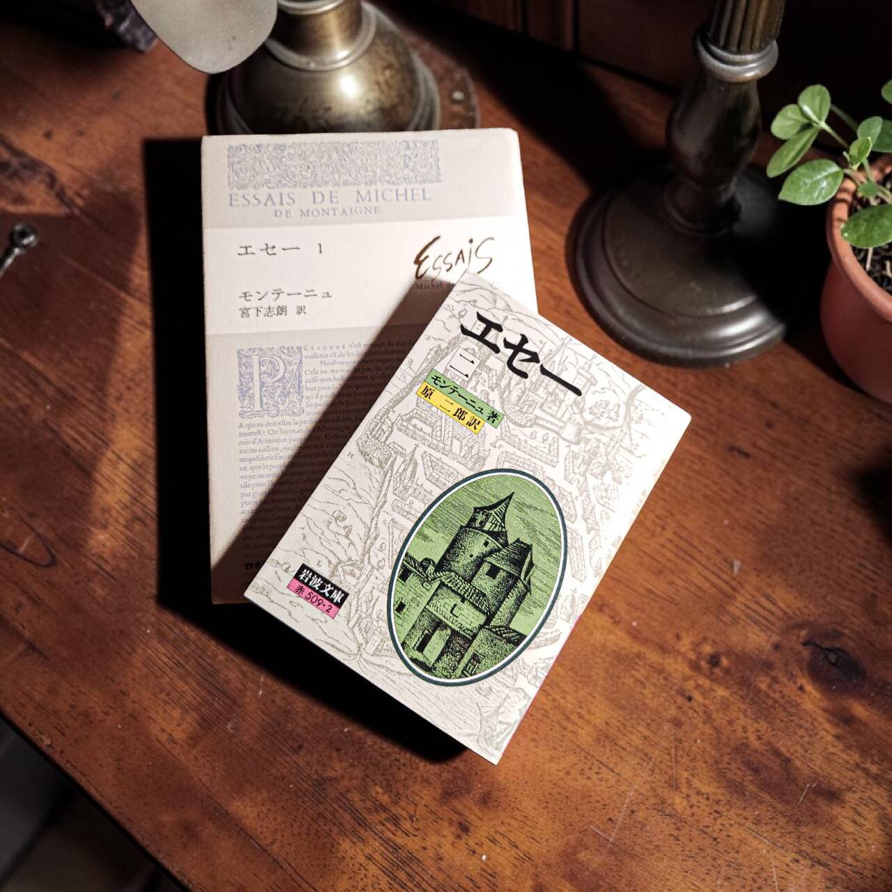 モンテーニュが説く<真の贅沢>とスペインの手仕事　☆二子玉川店【HEREU（ヘリュー）】