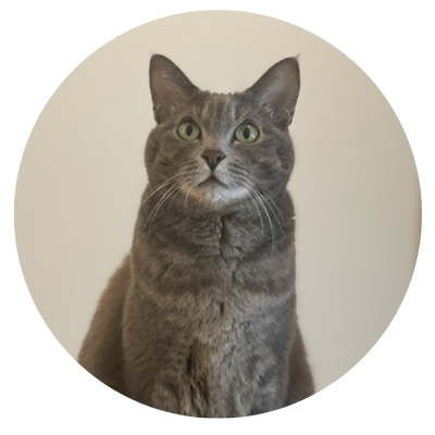 meow!meow!meow! ねこモノ｜H.P.FRANCE公式サイト