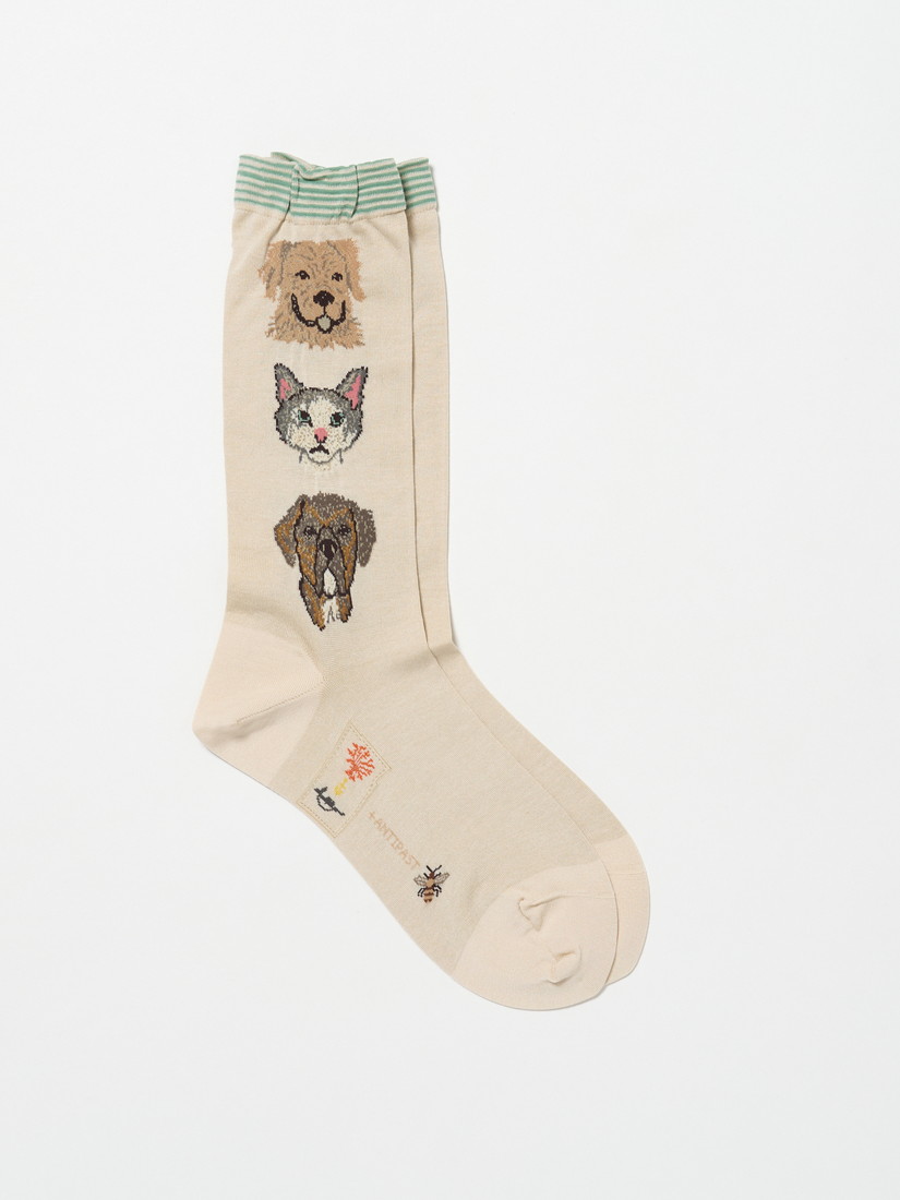 12/5発売】Coral&Tusk × ANTIPAST｜待望の第2弾ソックスが登場｜H.P.