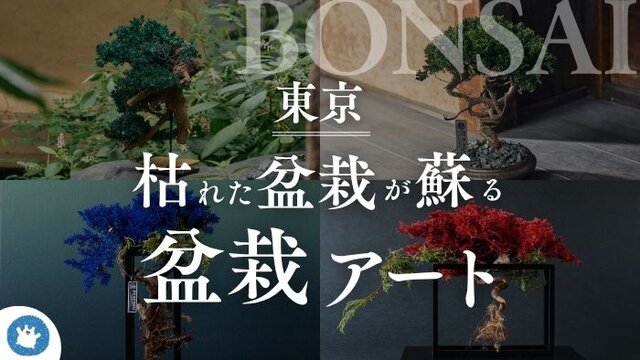 枯れた盆栽を甦らせるアートプロジェクト『アップサイクル盆栽』の魅力に浸る7日間
