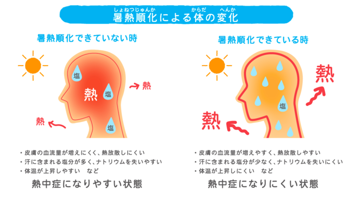 日本気象協会推進「熱中症ゼロへ」プロジェクトとは？暑さに慣れる”暑熱順化”で今年の夏を乗り切ろう