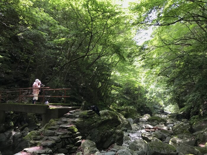 安居渓谷_飛龍の滝までの散策道