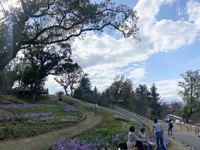 高知県立牧野植物園