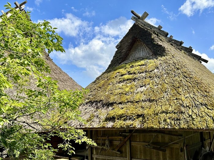 茅葺き屋根の家屋