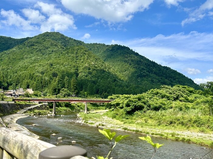 自然豊かな風景