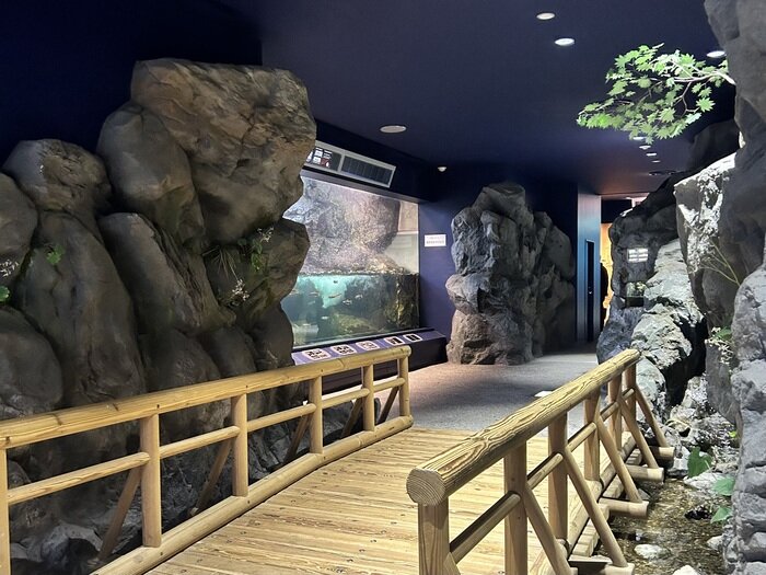 大人も楽しい「琵琶湖博物館」