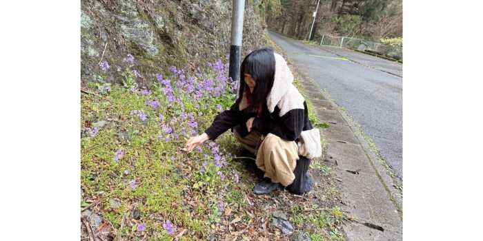 山菜採り　体験会