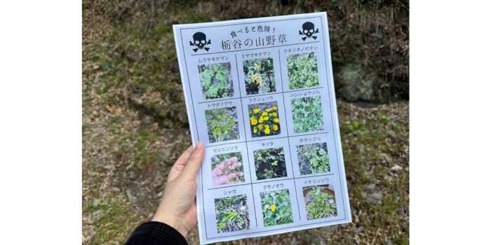 山菜採り体験会