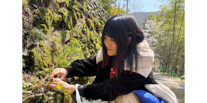 山菜採り体験会