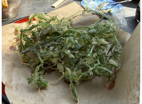 タネツケバナの天ぷら