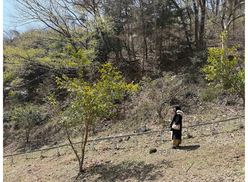 山菜採り体験会