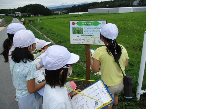 カゴメ　イベント