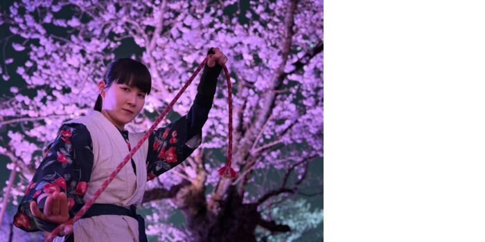 忍者　蜉蝣　ウェルチル