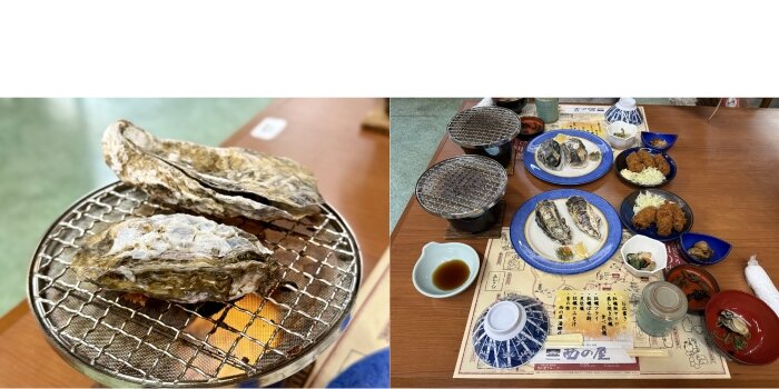 HIS　バスツアー　牡蠣食べ放題