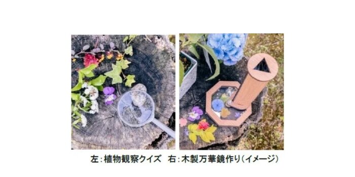 六甲　登山　避暑地　山涼み　猛暑　クール