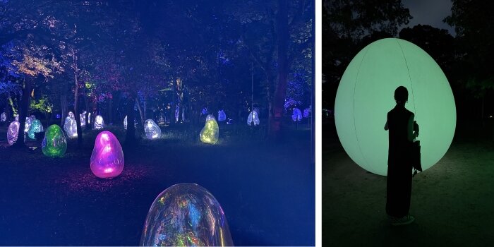 チームラボ ボタニカルガーデン 大阪　ツバキ園の呼応する小宇宙