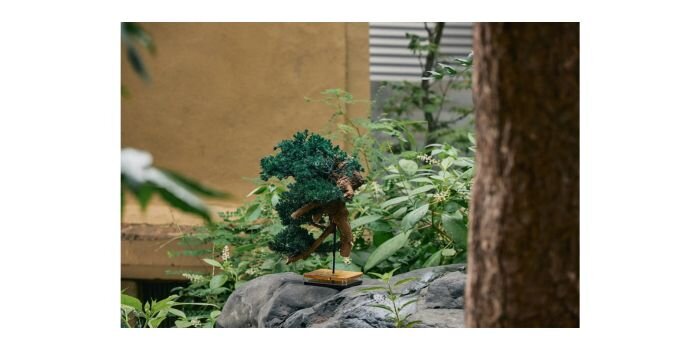 TOUFU TOKYO / 東富東京 アップサイクル盆栽 RE BONSAI　盆栽　鈴木良夫