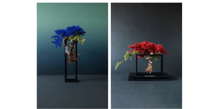 TOUFU TOKYO / 東富東京 アップサイクル盆栽 RE BONSAI　盆栽　鈴木良夫