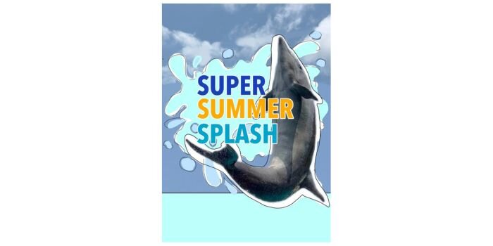 下田海中水族館 イルカショー　アシカショー　ドルフィンフィーディング
