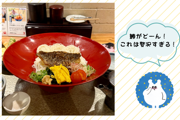 鯛そうめんのセット　鯛、錦糸卵、ネギなどが盛り付けられている