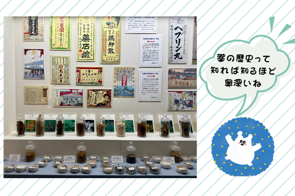 薬の歴史展示　