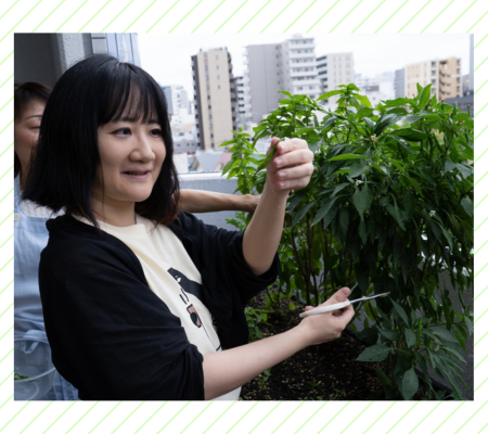 収穫した青唐辛子を見る筆者